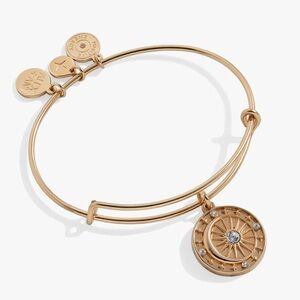 Alex and Ani Cosmic Balance Charm Bangle Bracelet